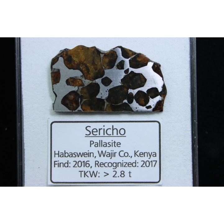 METEORITE: PALLASITE - SERICHO