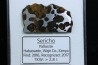 METEORITE: PALLASITE - SERICHO