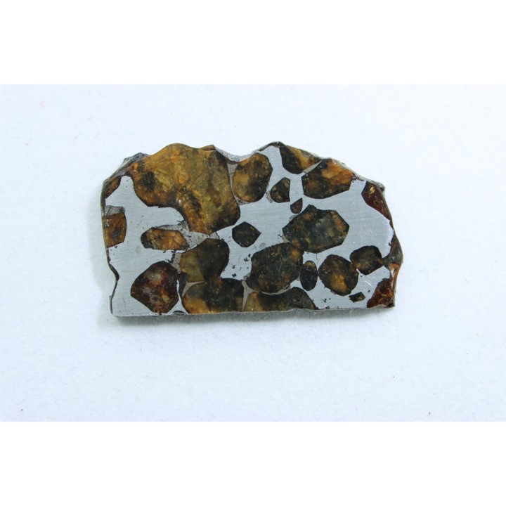 METEORITE: PALLASITE - SERICHO