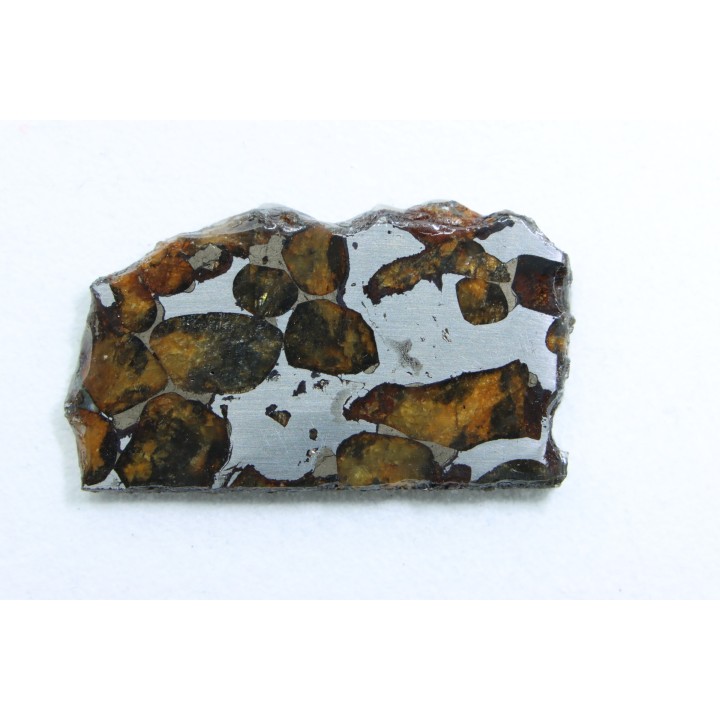 METEORITE: PALLASITE - SERICHO