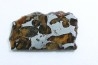 METEORITE: PALLASITE - SERICHO