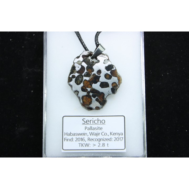 METEORITE: PALLASITE - SERICHO