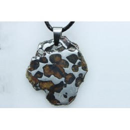 METEORITE: PALLASITE - SERICHO