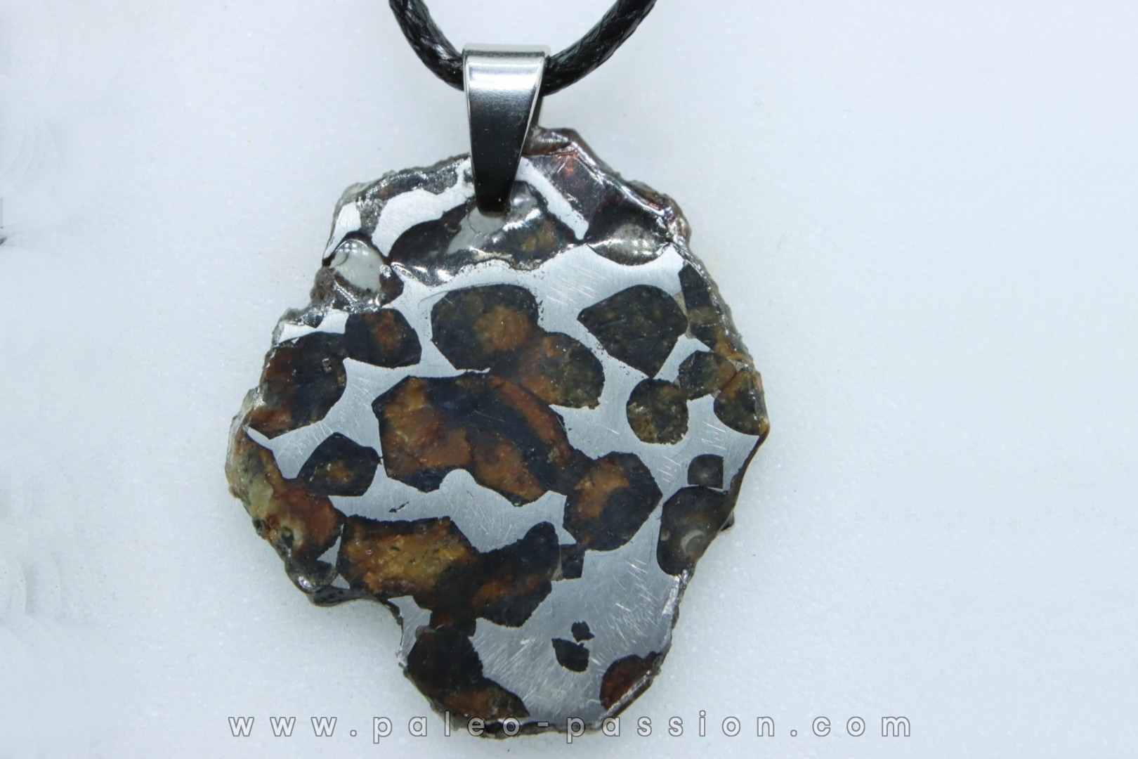 METEORITE: PALLASITE - SERICHO