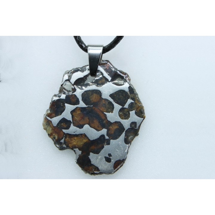 METEORITE: PALLASITE - SERICHO