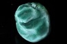 Malachite - Shilu Mine, Yangchun Co., Yangjiang, Guangdong Province, China