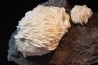 Baryte - Les Malines, Saint-Laurent-Le-Minier, Gard - FRANCE