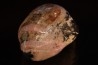 Rhodonite Friedelite Parsettensite Todorokite  - Ariège - FRANCE