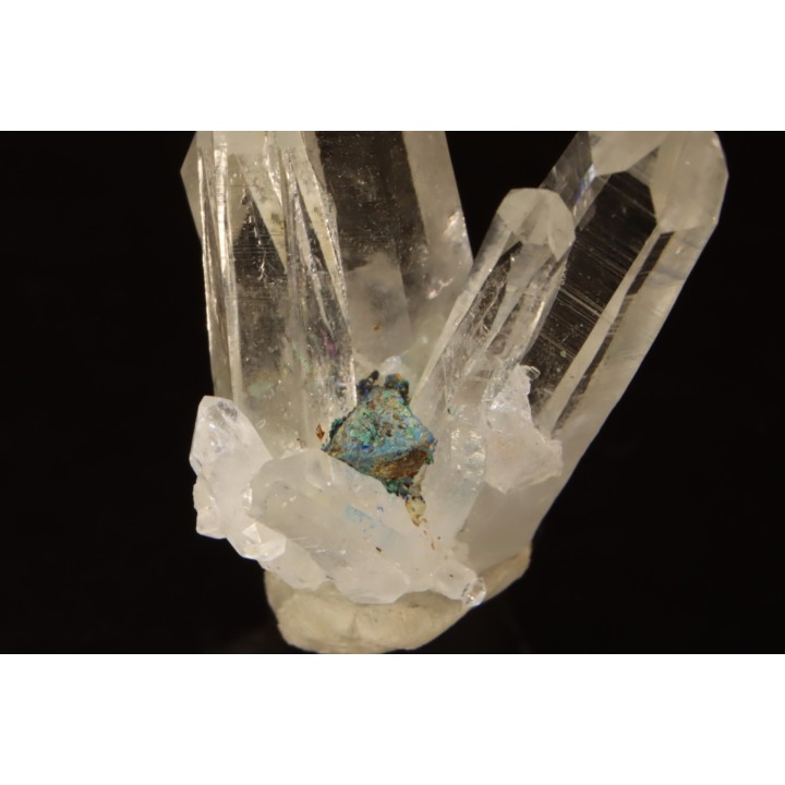 Tétraédrite sur Quartz, La Gardette Mine, FRANCE