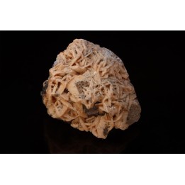 pink Baryte and Chalcopyrite with galena - Oumjrane mine, Morocco