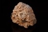 Baryte rose et Chalcopyrite sur galène - Oumjrane, Maroc