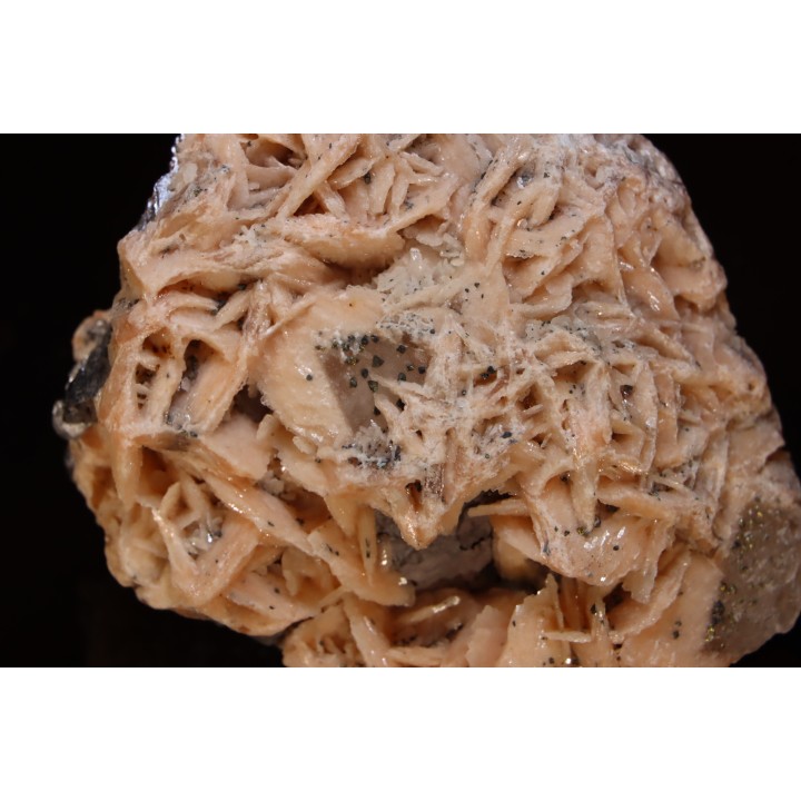 Baryte rose et Chalcopyrite sur galène - Oumjrane, Maroc