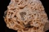 Baryte rose et Chalcopyrite sur galène - Oumjrane, Maroc
