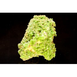 Pyromorphite - Saint Salvy (47) FRANCE