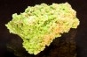 Pyromorphite - Saint Salvy (47) FRANCE