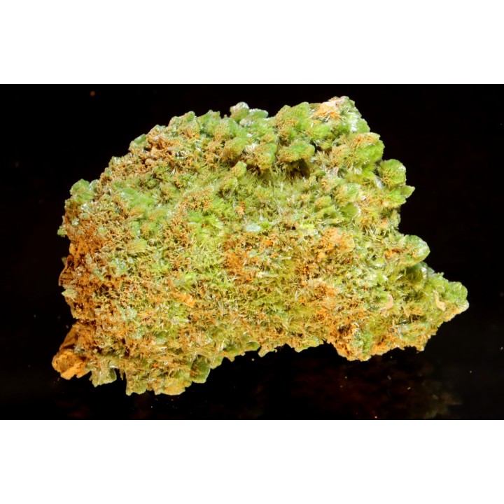 Pyromorphite - Saint Salvy (47) FRANCE