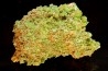 Pyromorphite - Saint Salvy (47) FRANCE