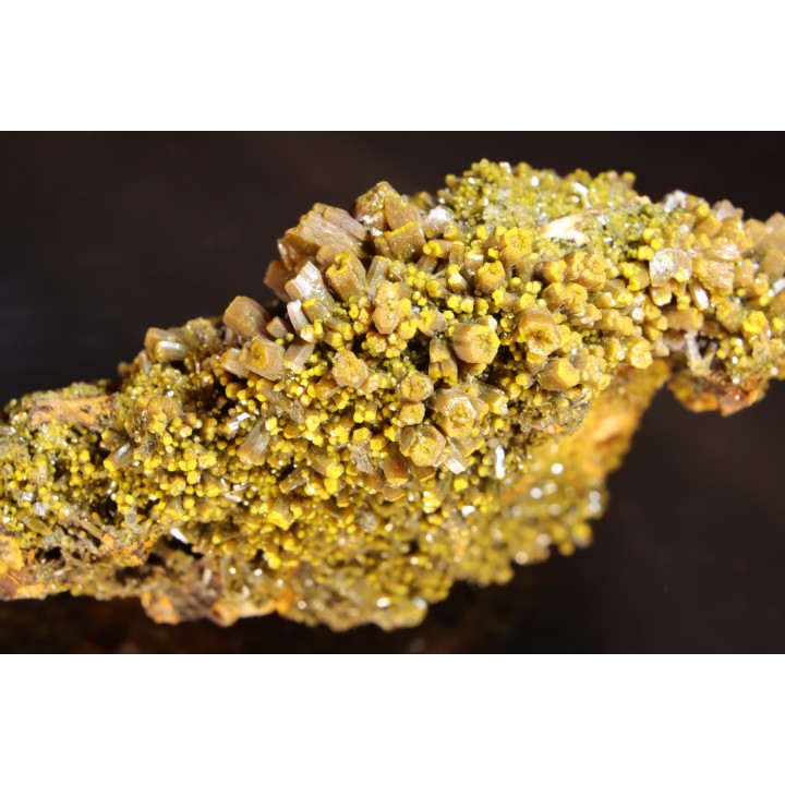 Pyromorphite "mustard touch"  Les Farges, FRANCE