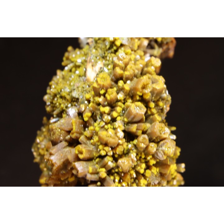 Pyromorphite "mustard touch"  Les Farges, FRANCE