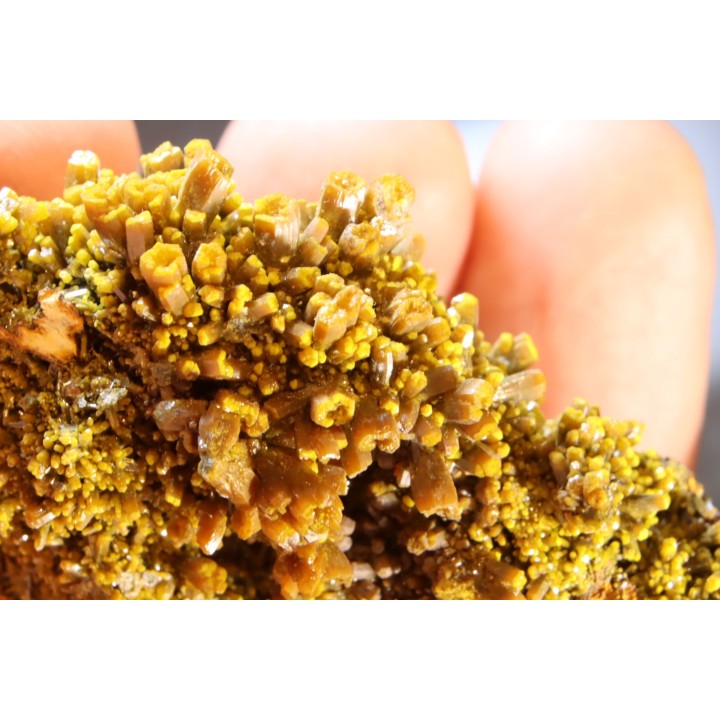 Pyromorphite "mustard touch"  Les Farges, FRANCE