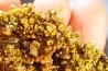 Pyromorphite "mustard touch" Les Farges, FRANCE