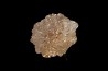 Rough diamond - Bakwanga, Kasai -Democratic Republic of Congo