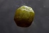 Diamant brut- Bakwanga, Kasai, République démocratique du Congo