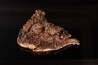 Native cooper - Keweenaw peninsula, Michigan, USA