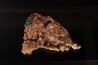 Native cooper - Keweenaw peninsula, Michigan, USA
