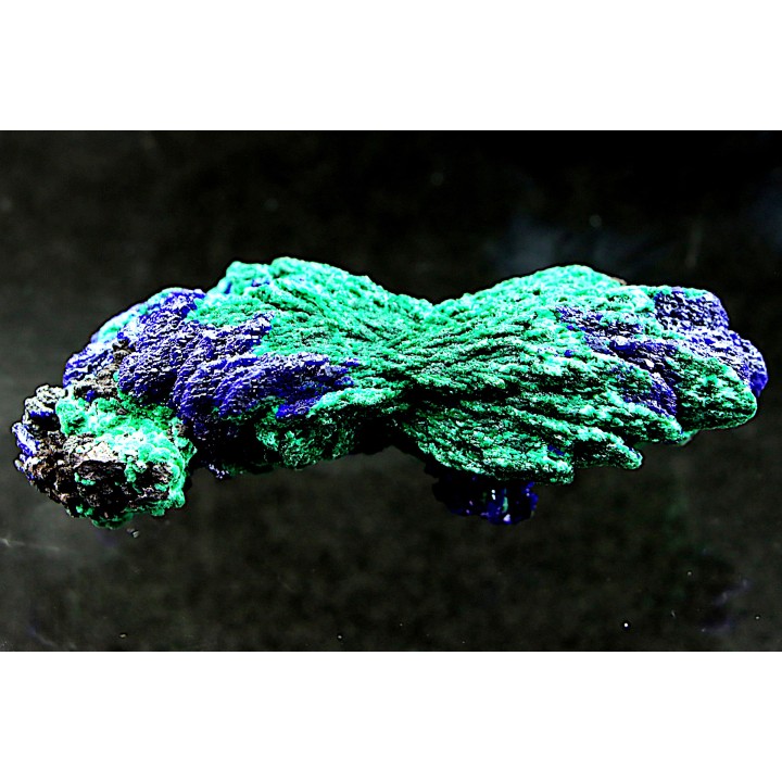 Azurite et malachite  - Maroc
