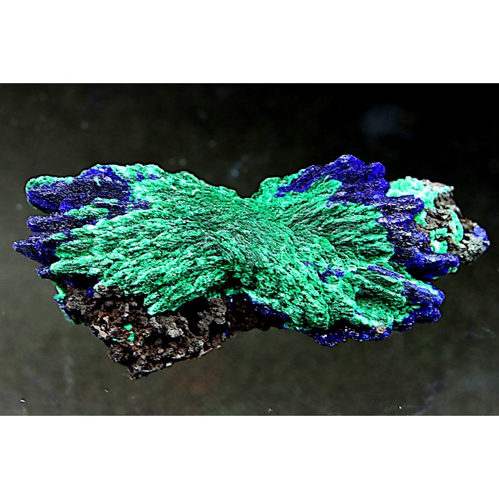 Azurite et malachite  - Maroc