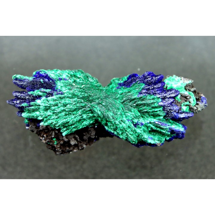 Azurite and malachite - Morocco