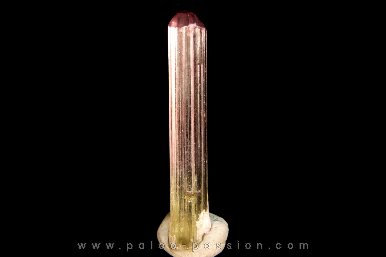 Tourmaline rubellite - Pala, Californie - USA