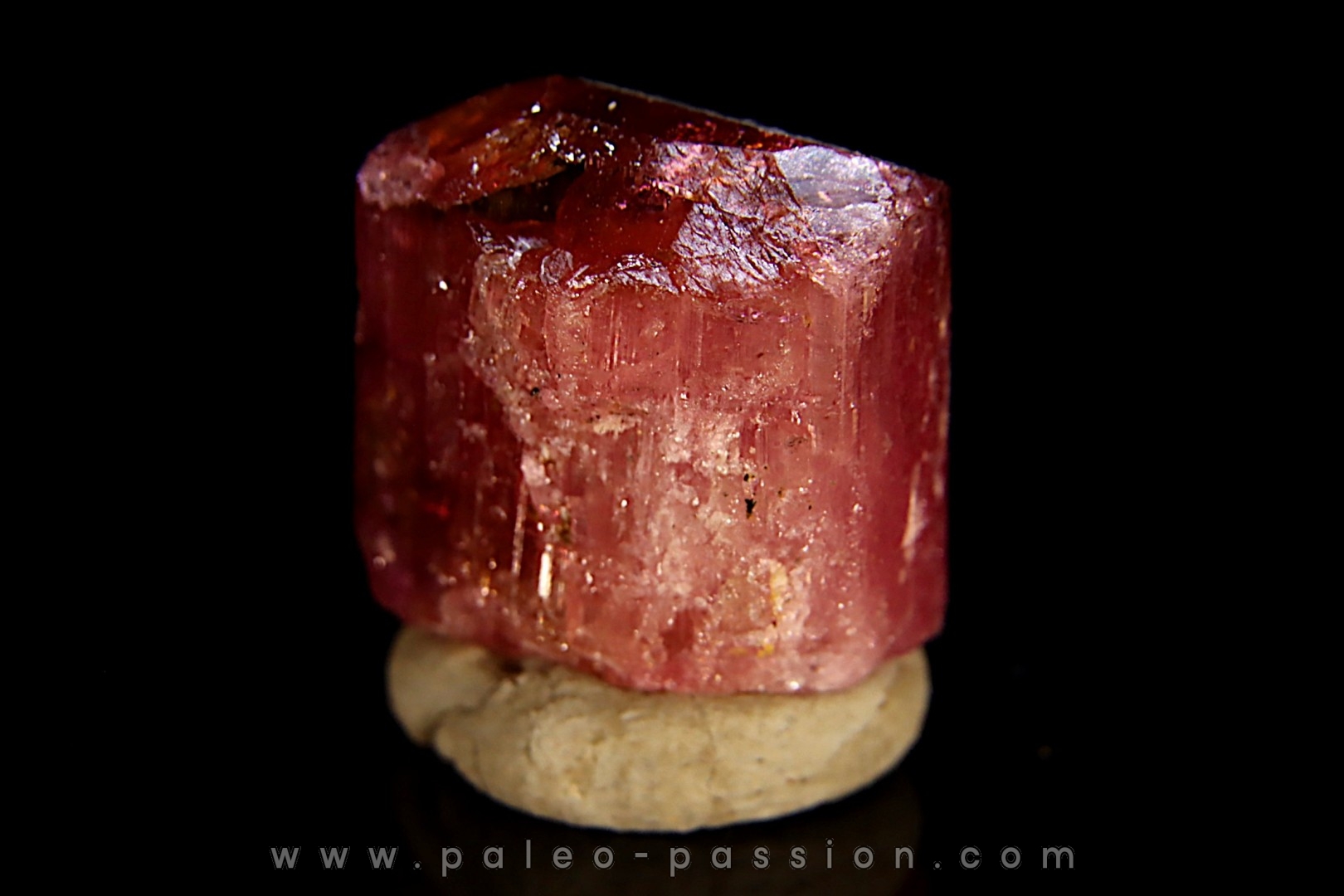 Tourmaline rubellite - Pala, Californie - USA