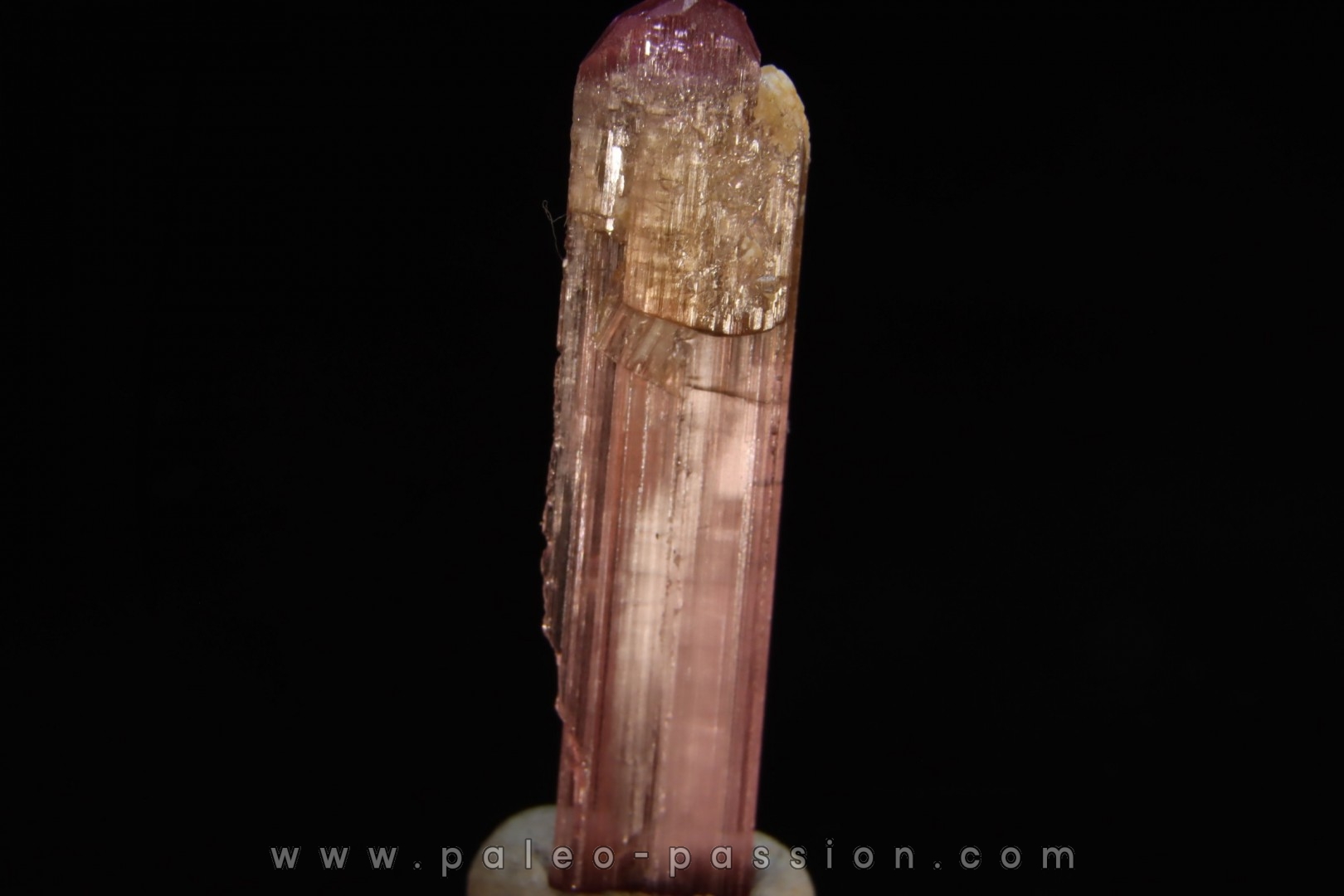 Tourmaline rubellite - Pala, Californie - USA