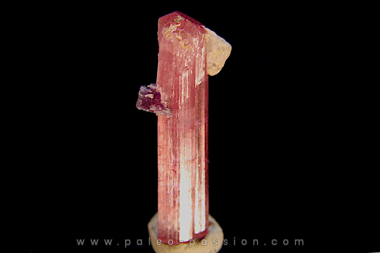 Tourmaline rubellite - Pala, Californie - USA