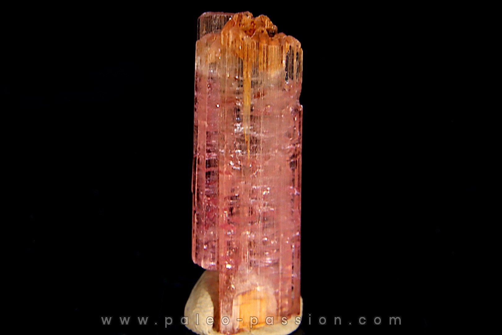 Tourmaline rubellite - Pala, Californie - USA