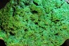 GARNIERITE mamelonnée   Nouvelle Calédonie - FRANCE