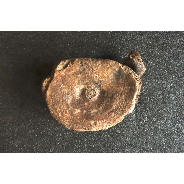 MAMMOTH VERTEBRA:  mammuthus primigenius