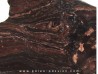 Stromatolithe - Missouri (1)