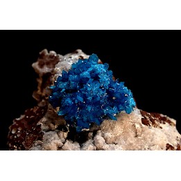 Cavansite sur stilbite - Wagholi, Poona, Maharashtra, Inde