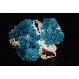 Cavansite  stilbite - Wagholi, Poona, Maharashtra, India