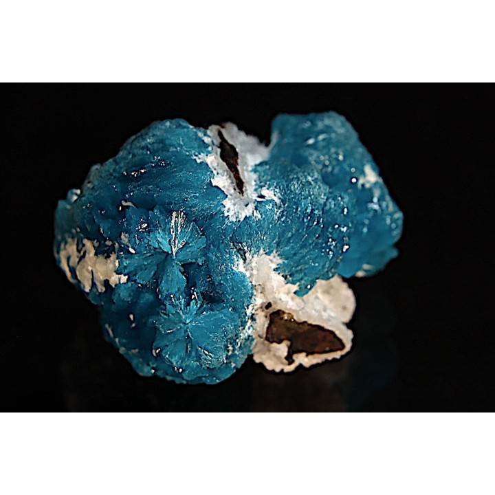 Cavansite sur stilbite - Wagholi, Poona, Maharashtra, Inde