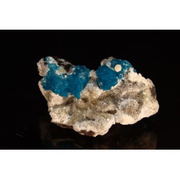 Cavansite  stilbite - Wagholi, Poona, Maharashtra, India