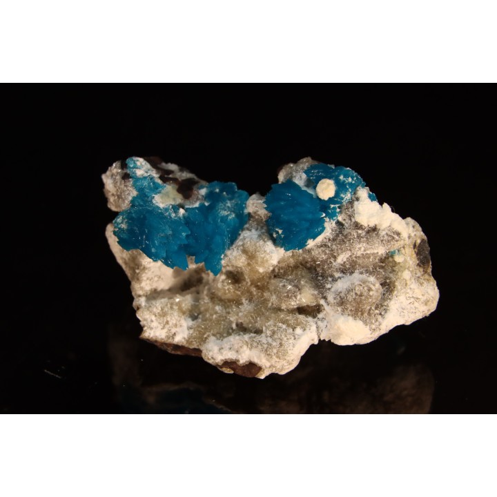 Cavansite sur stilbite - Wagholi, Poona, Maharashtra, Inde