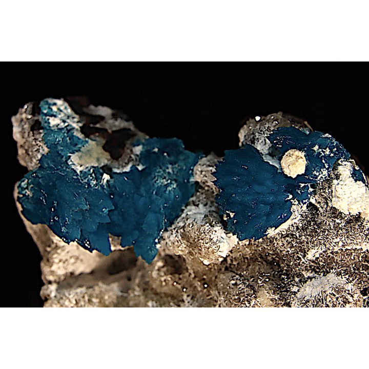 Cavansite sur stilbite - Wagholi, Poona, Maharashtra, Inde