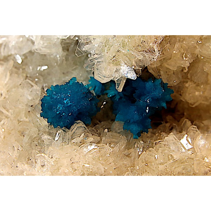 Cavansite sur stilbite - Wagholi, Poona, Maharashtra, Inde
