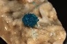 Cavansite sur stilbite - Wagholi, Poona, Maharashtra, Inde