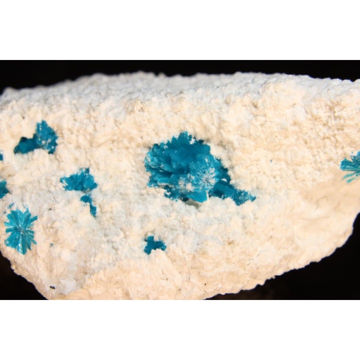 Cavansite sur stilbite - Wagholi, Poona, Maharashtra, Inde