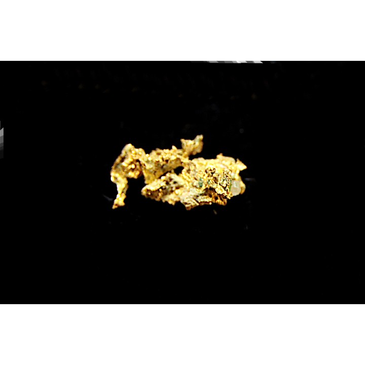 native gold, La Gardette Mine, FRANCE